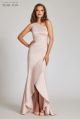 TERI JON ONE SHOULDER SHIMMER GOWN