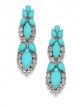 ZENZII STONE EARRING