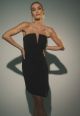 LIVE FOSTER MESH FRONT COCKTAIL DRESS
